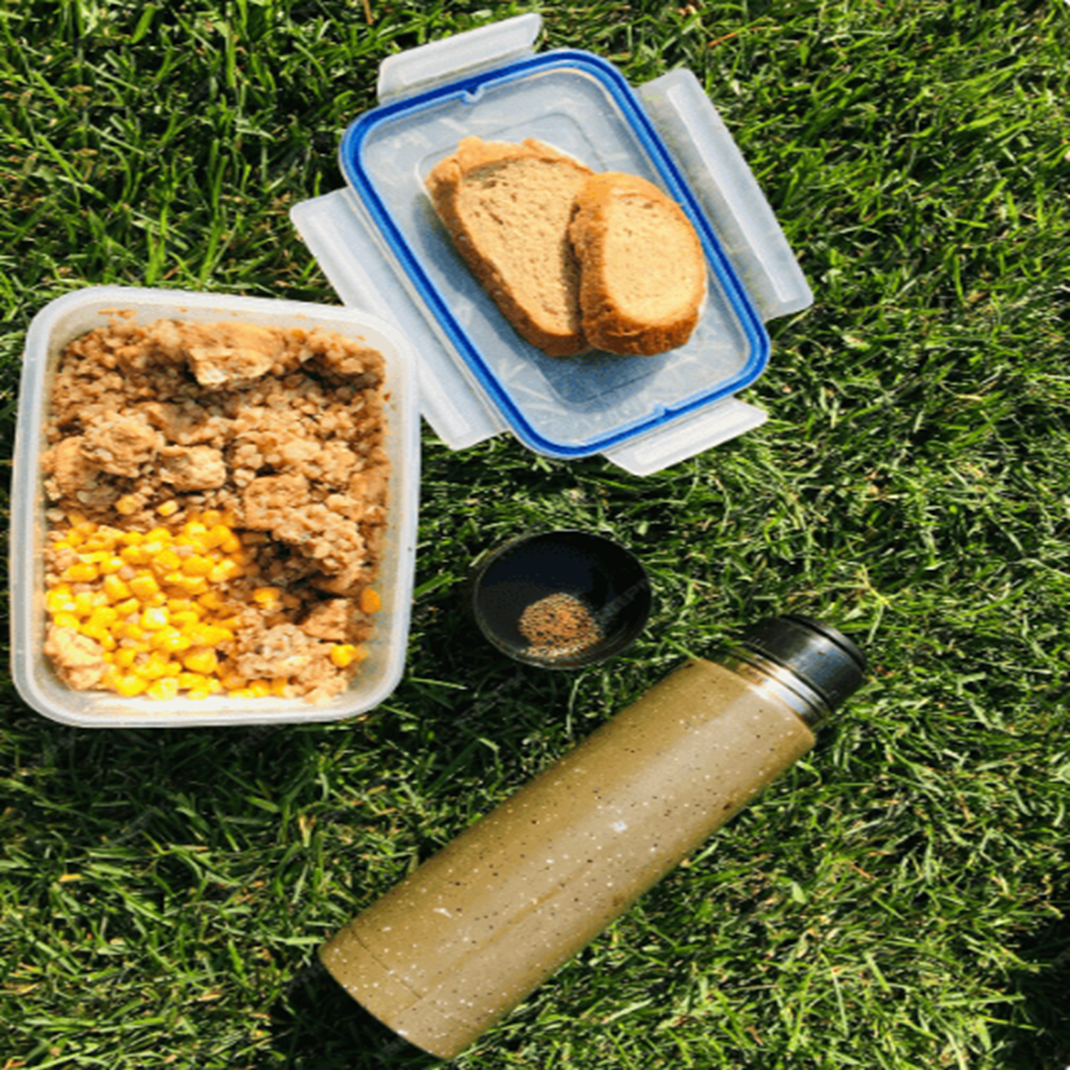 Day Tripper Snack Container: The Perfect Snack Box for Your Day Trips
